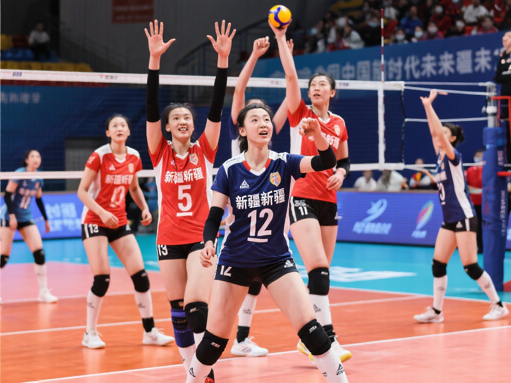 阵容调整期 阵容调整期